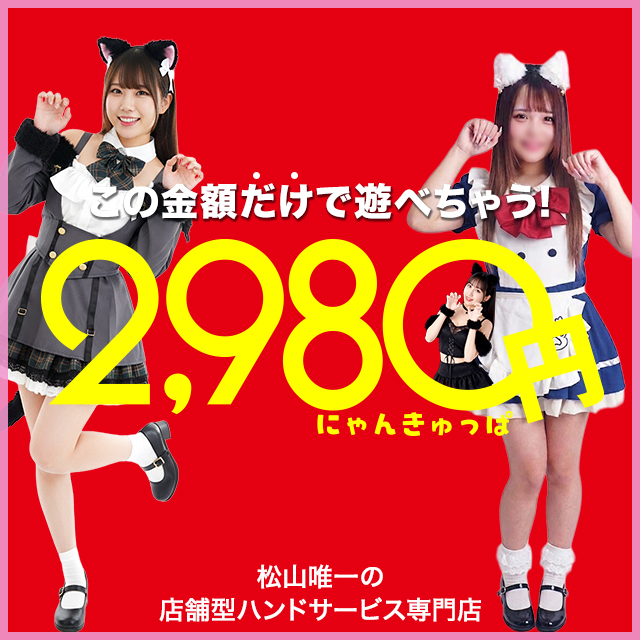 2980�~�i�ɂ�񂫂���ρj